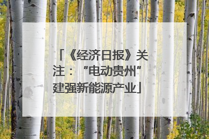 《经济日报》关注：“电动贵州”建强新能源产业