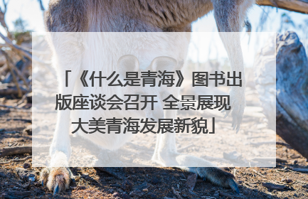《什么是青海》图书出版座谈会召开 全景展现大美青海发展新貌