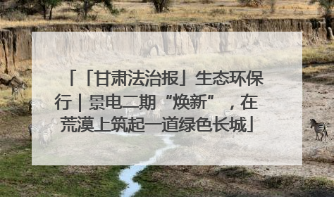 「甘肃法治报」生态环保行｜景电二期“焕新”，在荒漠上筑起一道绿色长城