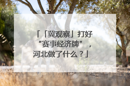 「冀观察」打好“赛事经济牌”，河北做了什么？