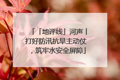 「地评线」河声丨打好防汛抗旱主动仗，筑牢水安全屏障