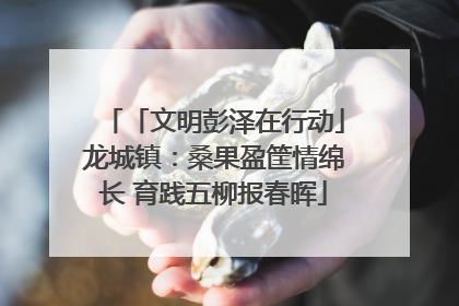 「文明彭泽在行动」龙城镇：桑果盈筐情绵长 育践五柳报春晖