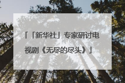 「新华社」专家研讨电视剧《无尽的尽头》