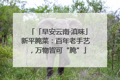 「早安云南·滇味」新平腌菜：百年老手艺，万物皆可“腌”