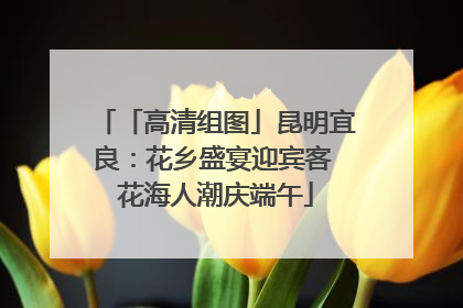 「高清组图」昆明宜良：花乡盛宴迎宾客 花海人潮庆端午