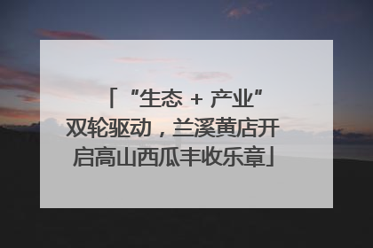 “生态 + 产业”双轮驱动，兰溪黄店开启高山西瓜丰收乐章