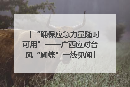 “确保应急力量随时可用”——广西应对台风“蝴蝶”一线见闻