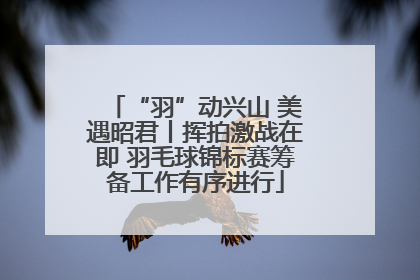“羽”动兴山 美遇昭君丨挥拍激战在即 羽毛球锦标赛筹备工作有序进行