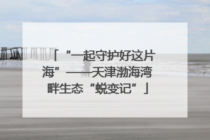 “一起守护好这片海”——天津渤海湾畔生态“蜕变记”