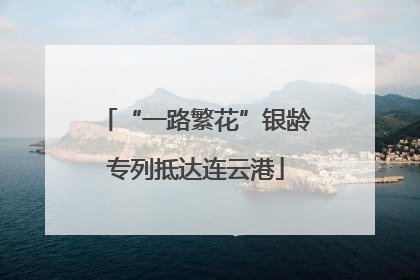 “一路繁花”银龄专列抵达连云港