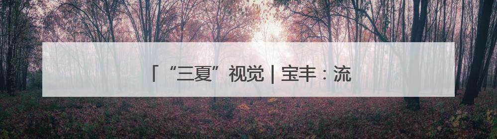 “三夏”视觉｜宝丰：流动加油站 送油到田间