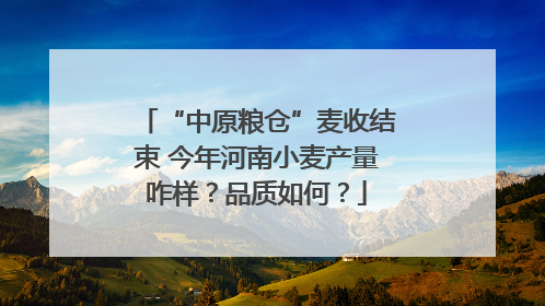 “中原粮仓”麦收结束 今年河南小麦产量咋样？品质如何？