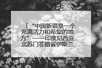 “中国新疆是一个充满活力和希望的地方”——印度尼西亚北苏门答腊省伊斯兰教代表团参访新疆
