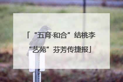 “五育·和合”结桃李 “艺苑”芬芳传捷报