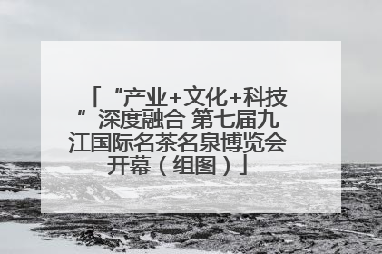 “产业+文化+科技”深度融合 第七届九江国际名茶名泉博览会开幕（组图）