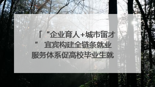 “企业育人+城市留才” 宜宾构建全链条就业服务体系促高校毕业生就业｜您牵挂的四川
