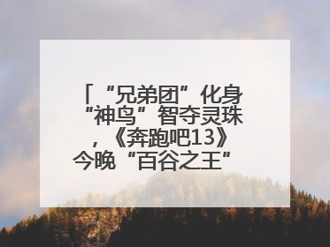 “兄弟团”化身“神鸟”智夺灵珠，《奔跑吧13》今晚“百谷之王”花落谁家？