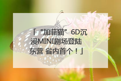 “加菲猫”6D沉浸MINI剧场登陆东营 省内首个！