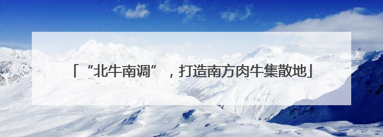 “北牛南调”，打造南方肉牛集散地