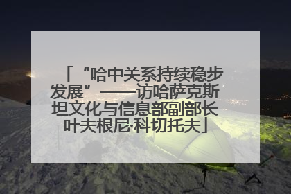 “哈中关系持续稳步发展”——访哈萨克斯坦文化与信息部副部长叶夫根尼·科切托夫