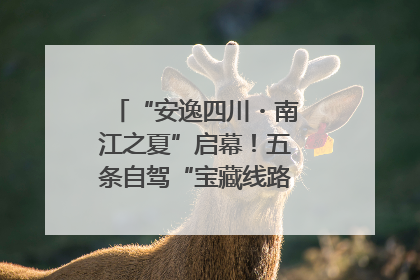 “安逸四川・南江之夏”启幕！五条自驾“宝藏线路”串联避暑胜地