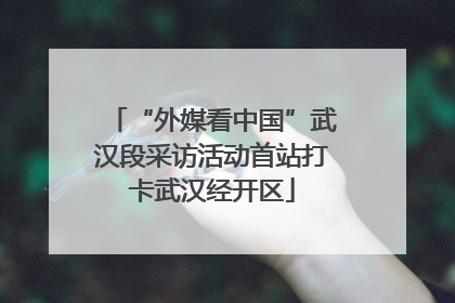“外媒看中国”武汉段采访活动首站打卡武汉经开区