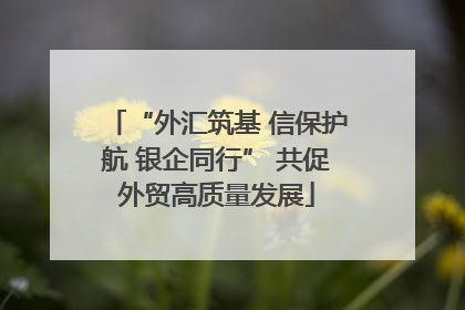 “外汇筑基 信保护航 银企同行” 共促外贸高质量发展