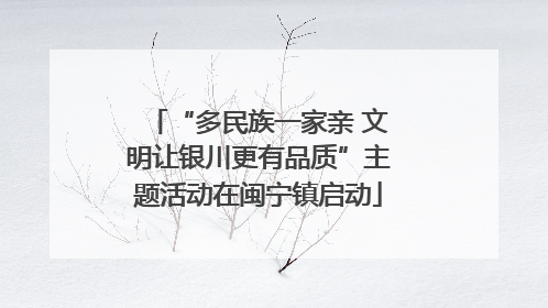 “多民族一家亲 文明让银川更有品质”主题活动在闽宁镇启动