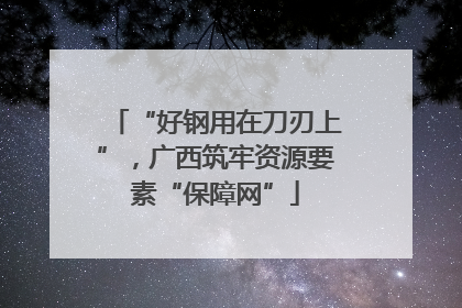 “好钢用在刀刃上”，广西筑牢资源要素“保障网”