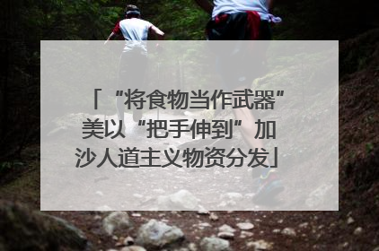 “将食物当作武器” 美以“把手伸到”加沙人道主义物资分发