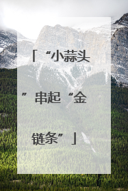 “小蒜头”串起“金链条”