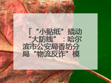“小贴纸”撬动“大防线”：哈尔滨市公安局香坊分局“物流反诈”模式守护群众“钱袋子”