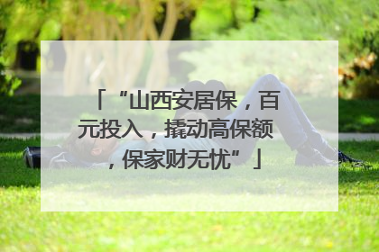 “山西安居保，百元投入，撬动高保额，保家财无忧”