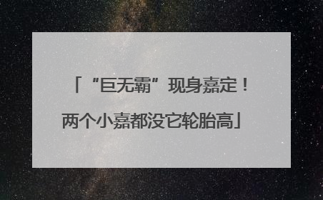 “巨无霸”现身嘉定！两个小嘉都没它轮胎高