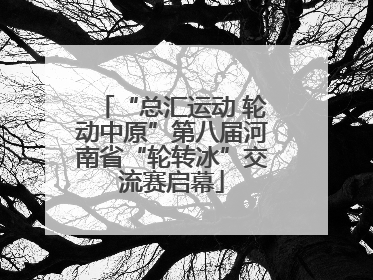 “总汇运动 轮动中原”第八届河南省“轮转冰”交流赛启幕