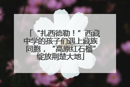 “扎西德勒！”西藏中学的孩子们遇上藏族同胞，“高原红石榴”绽放荆楚大地