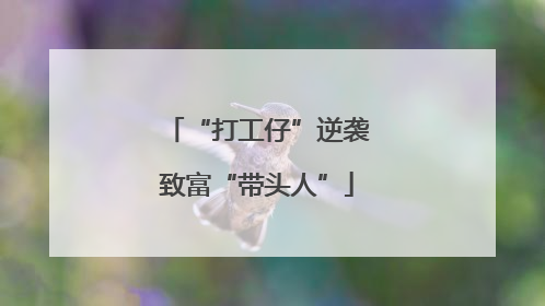 “打工仔”逆袭致富“带头人”