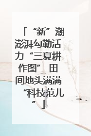 “新”潮澎湃勾勒活力“三夏耕作图” 田间地头满满“科技范儿”