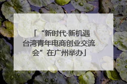“新时代·新机遇 台湾青年电商创业交流会”在广州举办