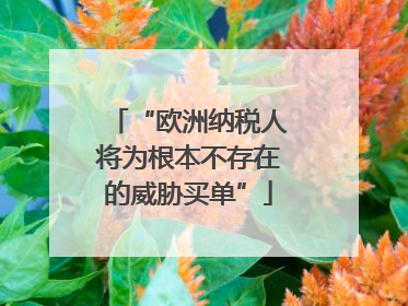 “欧洲纳税人将为根本不存在的威胁买单”