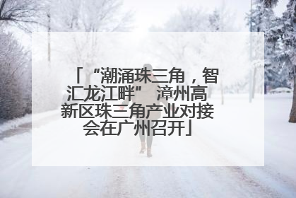 “潮涌珠三角，智汇龙江畔” 漳州高新区珠三角产业对接会在广州召开