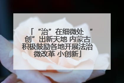 “治”在细微处 “创”出新天地 内蒙古积极鼓励各地开展法治微改革 小创新