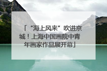 “海上风来”吹进京城！上海中国画院中青年画家作品展开幕