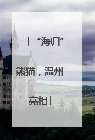“海归”熊猫，温州亮相