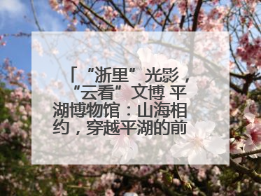 “浙里”光影，“云看”文博 平湖博物馆：山海相约，穿越平湖的前世今生