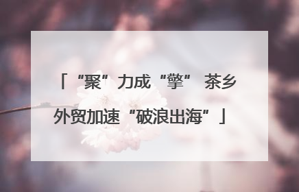 “聚”力成“擎” 茶乡外贸加速“破浪出海”