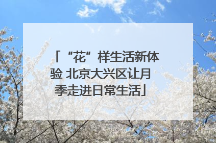 “花”样生活新体验 北京大兴区让月季走进日常生活