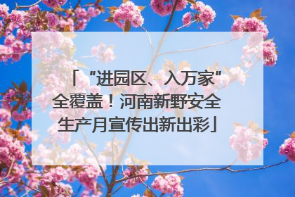“进园区、入万家”全覆盖！河南新野安全生产月宣传出新出彩