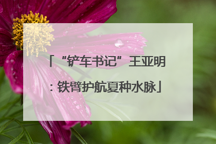 “铲车书记”王亚明：铁臂护航夏种水脉