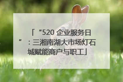 “520 企业服务日”：三湘南湖大市场灯石城赋能商户与职工